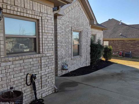 733 Mango Loop, Austin, AR 72007 photo 4