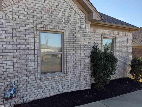 733 Mango Loop, Austin, AR 72007 photo 5