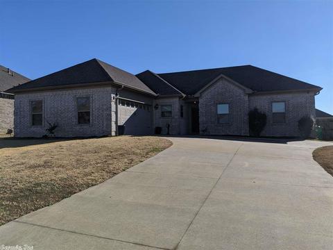 733 Mango Loop, Austin, AR 72007 photo 3