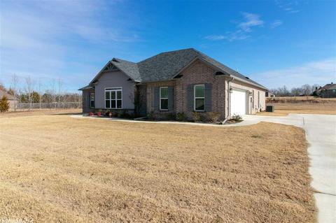 6 Kearsten Cv, Greenbrier, AR 72058 photo 38