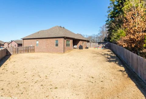 753 Mango Loop, Austin, AR 72007 photo 28