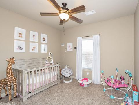 753 Mango Loop, Austin, AR 72007 photo 20