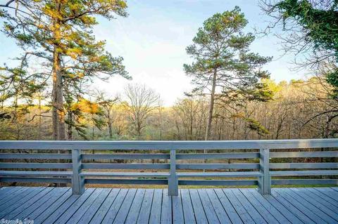 171 Algonkin Dr, Royal, AR 71968 photo 21