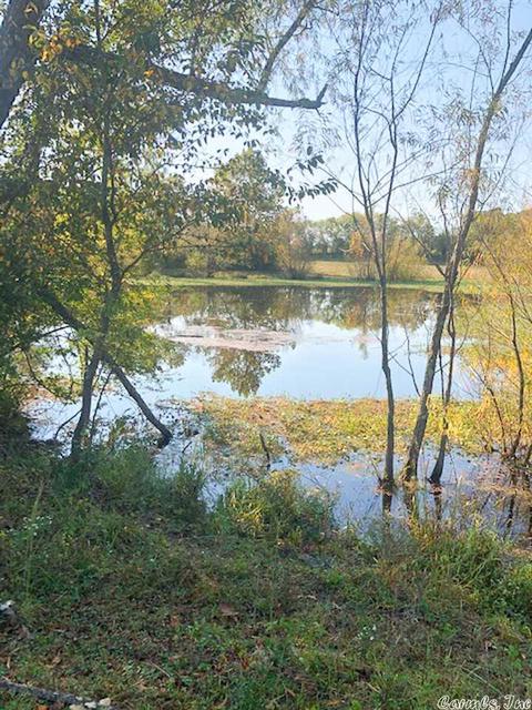 693 Gaston Rd, Norman, AR 71960 photo 23