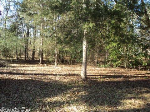 2810 Cherry Rd, Cabot, AR 72023 photo 6