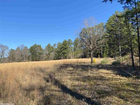 169 W Bend Rd, Sims, AR 71969 photo 32
