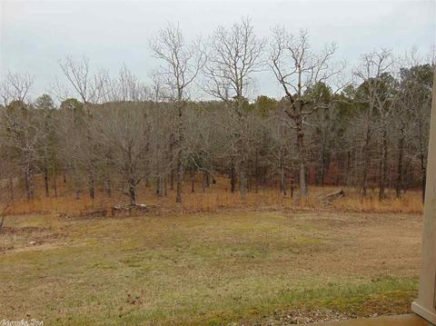1306 Martin Rd, Alexander, AR 72002 photo 2