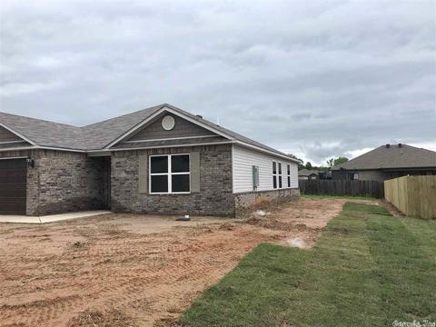 20 Dunnaway Dr, Austin, AR 72007 photo 3