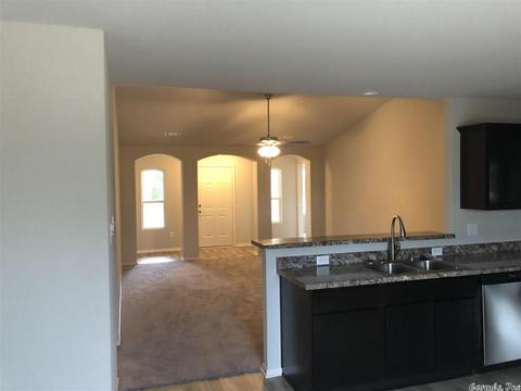 22 Dunnaway Dr, Austin, AR 72007 photo 4