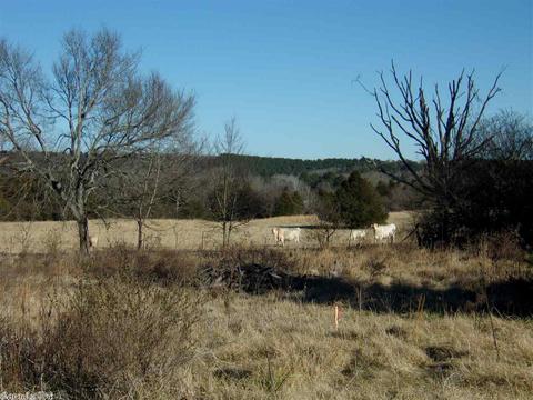 2946 Highway 92 E, Bee Branch, AR 72013 photo 10