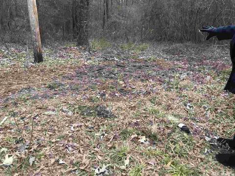 175 Paris Ln, Malvern, AR 72104 photo 13
