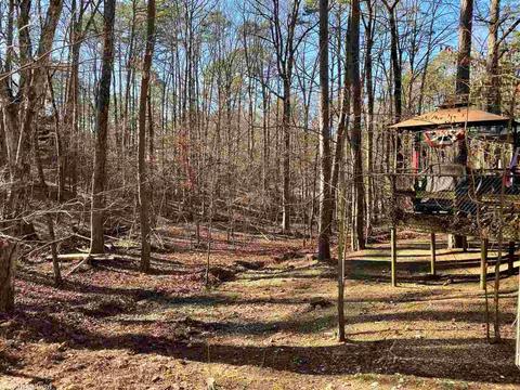 169 Hickory Ridge Rd, Mount Ida, AR 71957 photo 4