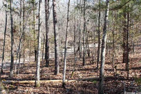 tbd Fishermans Trl, Mount Ida, AR 71957 photo 5