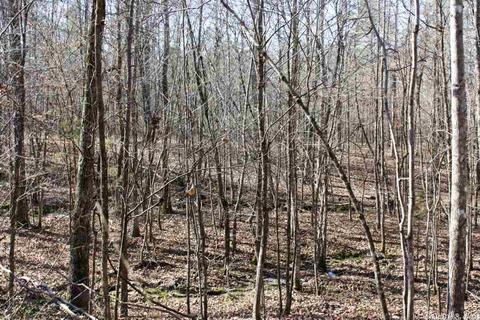 tbd Fishermans Trl, Mount Ida, AR 71957 photo 3
