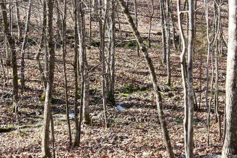 tbd Fishermans Trl, Mount Ida, AR 71957 photo 4
