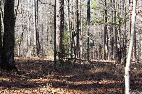 tbd Fishermans Trl, Mount Ida, AR 71957 photo 33