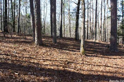 tbd Fishermans Trl, Mount Ida, AR 71957 photo 31