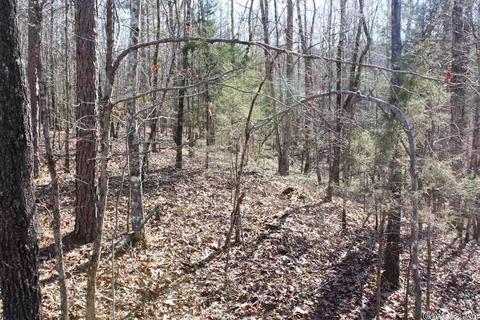 tbd Fishermans Trl, Mount Ida, AR 71957 photo 11