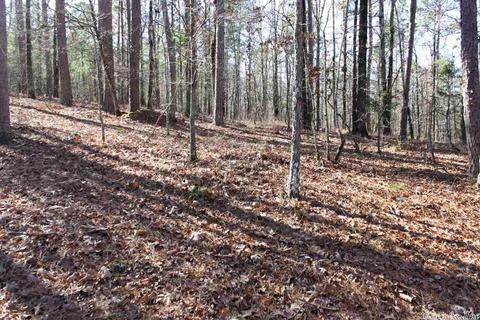 tbd Fishermans Trl, Mount Ida, AR 71957 photo 32