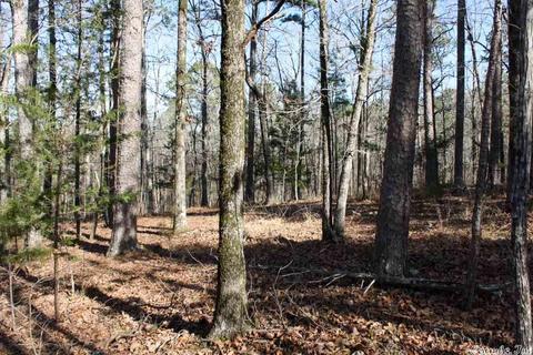 tbd Fishermans Trl, Mount Ida, AR 71957 photo 37
