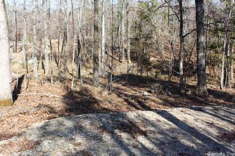 tbd Fishermans Trl, Mount Ida, AR 71957 photo 6