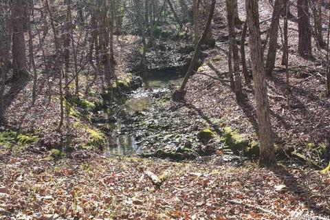 tbd Fishermans Trl, Mount Ida, AR 71957 photo 15