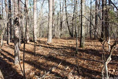 tbd Fishermans Trl, Mount Ida, AR 71957 photo 36