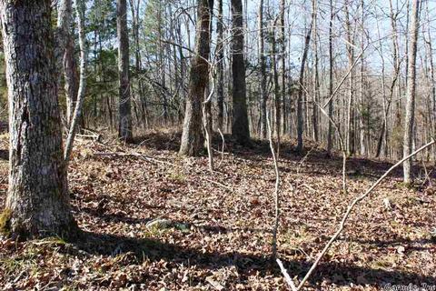 tbd Fishermans Trl, Mount Ida, AR 71957 photo 7