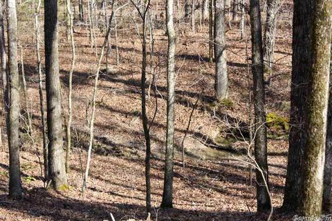 tbd Fishermans Trl, Mount Ida, AR 71957 photo 39