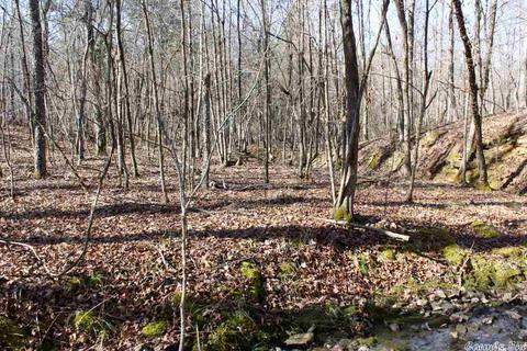 tbd Fishermans Trl, Mount Ida, AR 71957 photo 18
