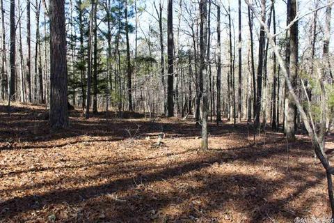 tbd Fishermans Trl, Mount Ida, AR 71957 photo 30