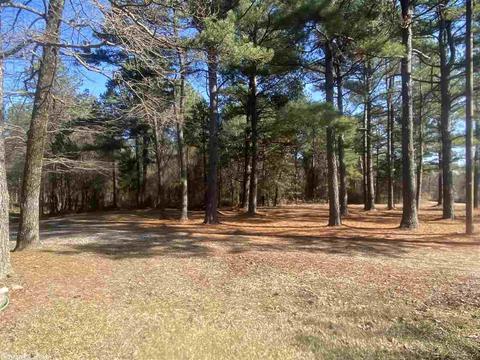 15556 Chula Rd, Plainview, AR 72857 photo 26