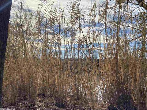 34454 Capps Rd, Marked Tree, AR 72365 photo 26