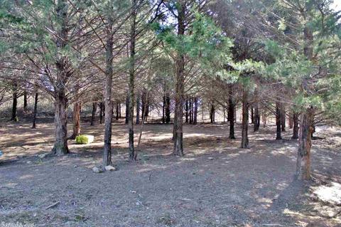 170 Pine Timber Ln, Damascus, AR 72039 photo 17