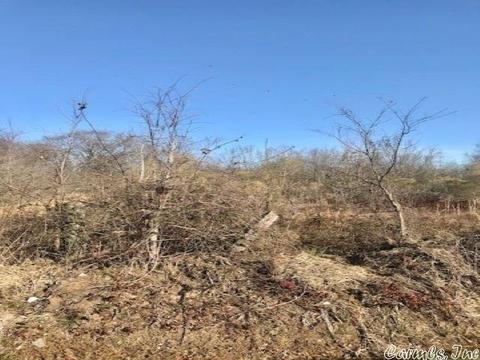 104 Mccoy Ln, Scott, AR 72142 photo 1