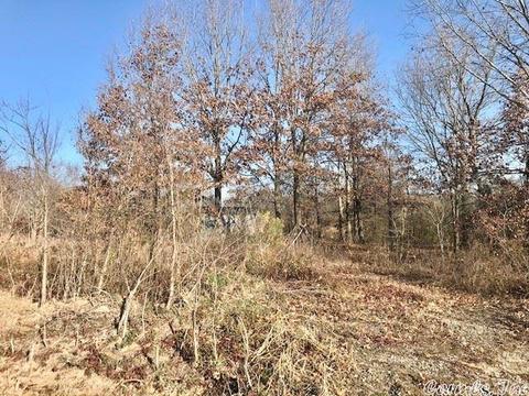 104 Mccoy Ln, Scott, AR 72142 photo 2