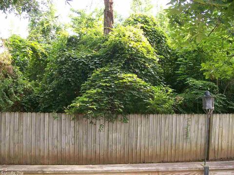 4405 Donna Dr, Benton, AR 72015 photo 26