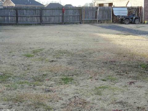 113 Ashtin Pl, Ward, AR 72176 photo 37