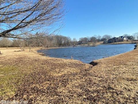 100 W Lake Cv, Beebe, AR 72012 photo 38
