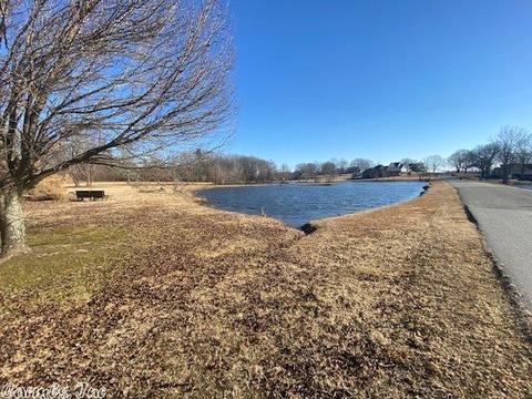 100 W Lake Cv, Beebe, AR 72012 photo 40