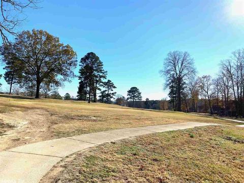 119 Silver Springs Dr, Haskell, AR 72105 photo 22