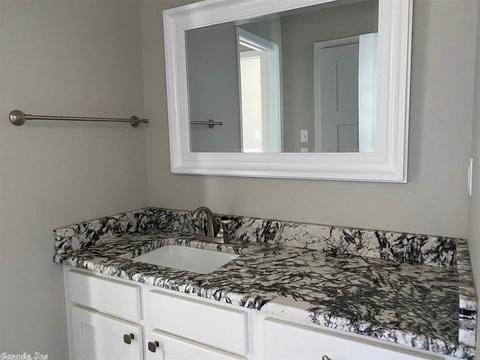 119 Silver Springs Dr, Haskell, AR 72105 photo 13