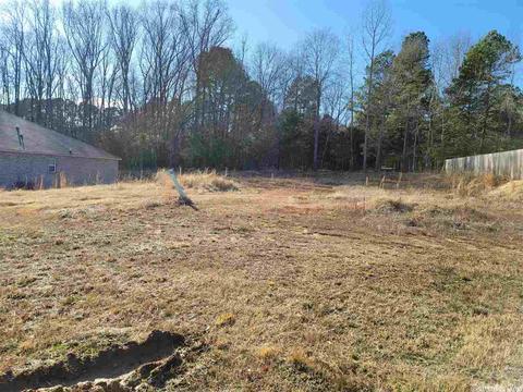 10 Cedar Creek Loop, Cabot, AR 72023 photo 1