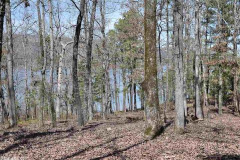 524 Pearce Rd, Quitman, AR 72131 photo 38