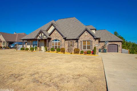 9104 Stone Canyon Dr, Alexander, AR 72002 photo 3