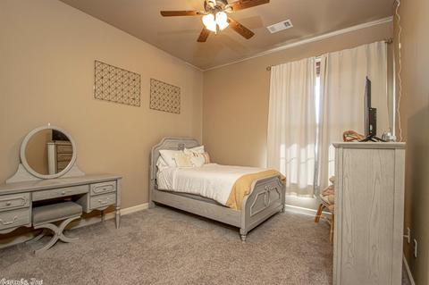 9104 Stone Canyon Dr, Alexander, AR 72002 photo 23