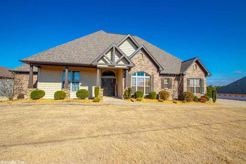 9104 Stone Canyon Dr, Alexander, AR 72002 photo 4