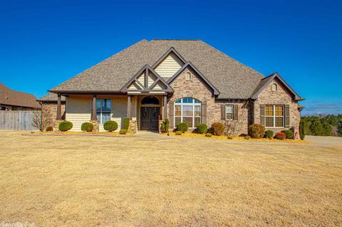 9104 Stone Canyon Dr, Alexander, AR 72002 photo 1