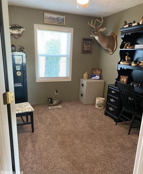 89 Mile Rd, Maynard, AR 72444 photo 8