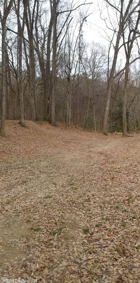 79 Hilltop Dr, Sims, AR 71969 photo 13